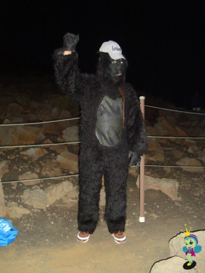 even the Long Beach Gorilla showed up to view the spectacle 