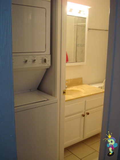 the other bathroom & laundry room (an awesome perk)
