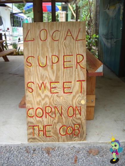 Local Super Sweet Corn on the Cob